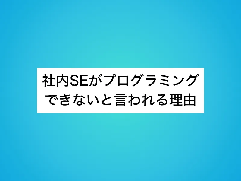 社内SEがプログラミングできないと言われる理由