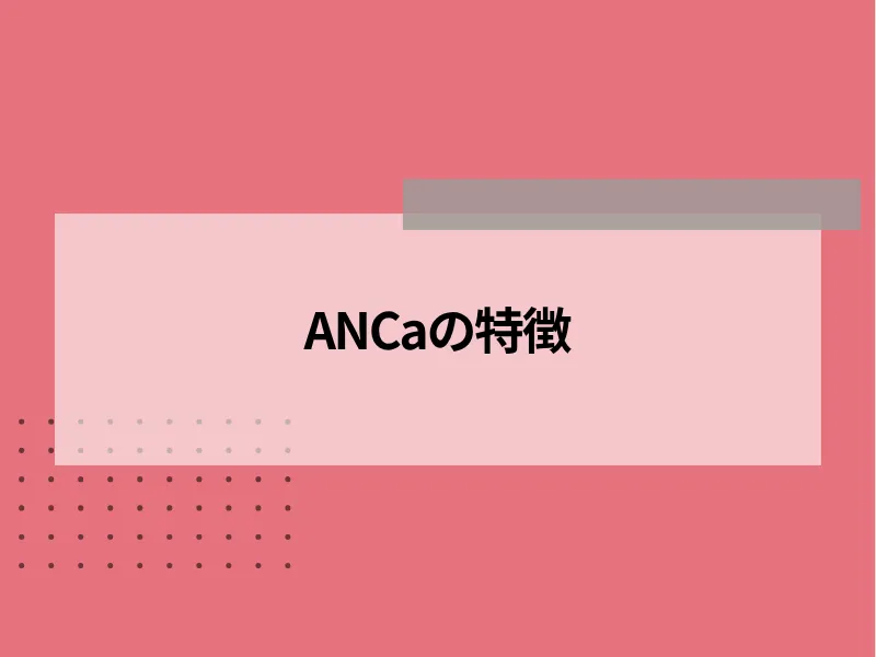 ANCaの特徴