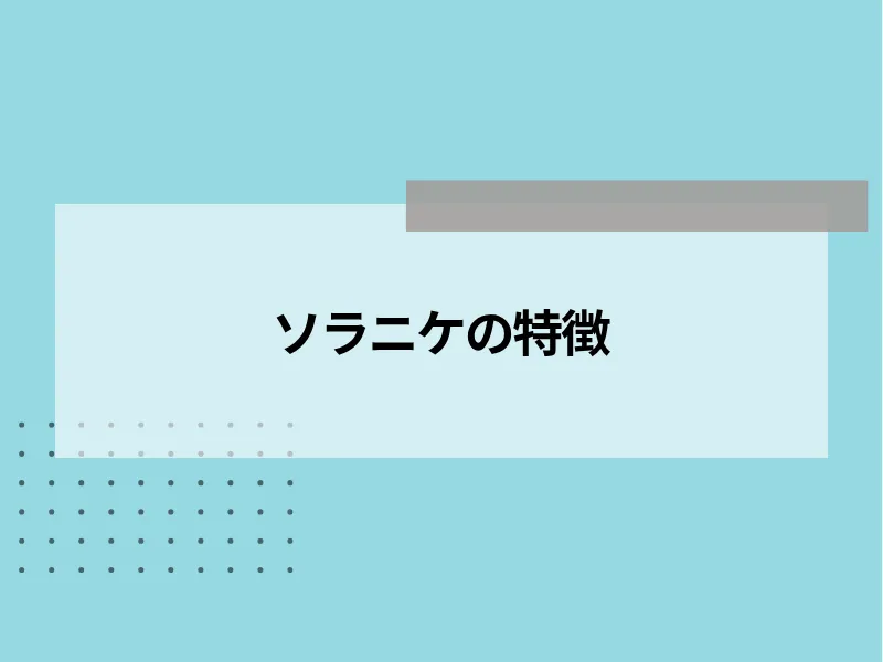 SORANIKE(ソラニケ)の特徴